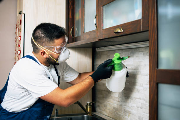 Best Affordable Pest Control Services  in Shorewood, WI