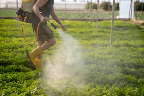 Best Affordable Pest Control Services  in Shorewood, WI