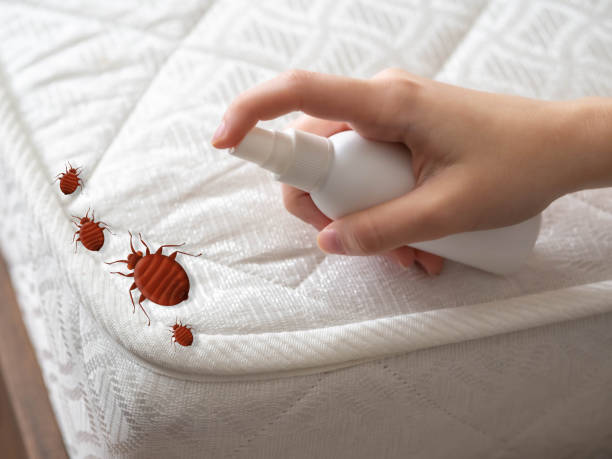 Best Commercial Pest Control Services  in Shorewood, WI