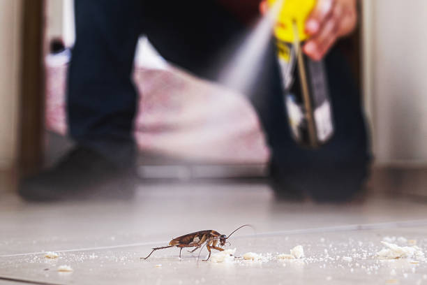 Best Pest Prevention Services  in Shorewood, WI