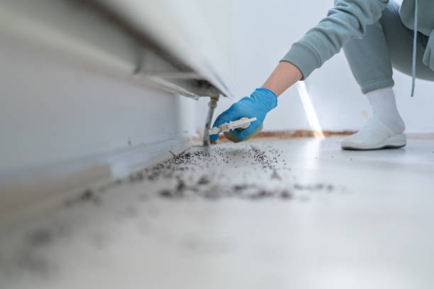 Trusted Shorewood, WI Pest Control Experts